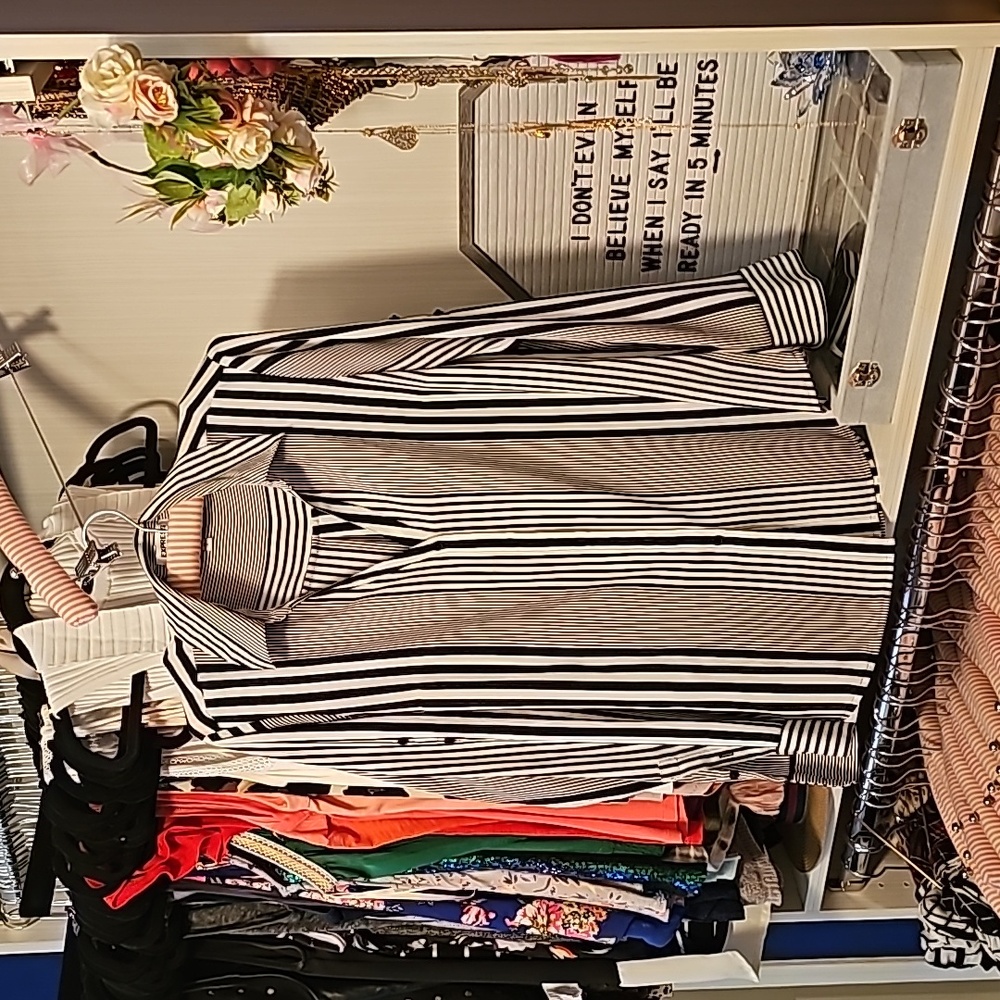 Express portfolio blouse